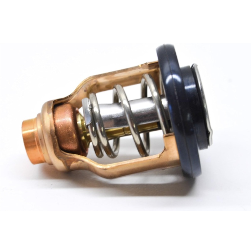 YAMAHA 6CE-12411-00-00; Thermostat