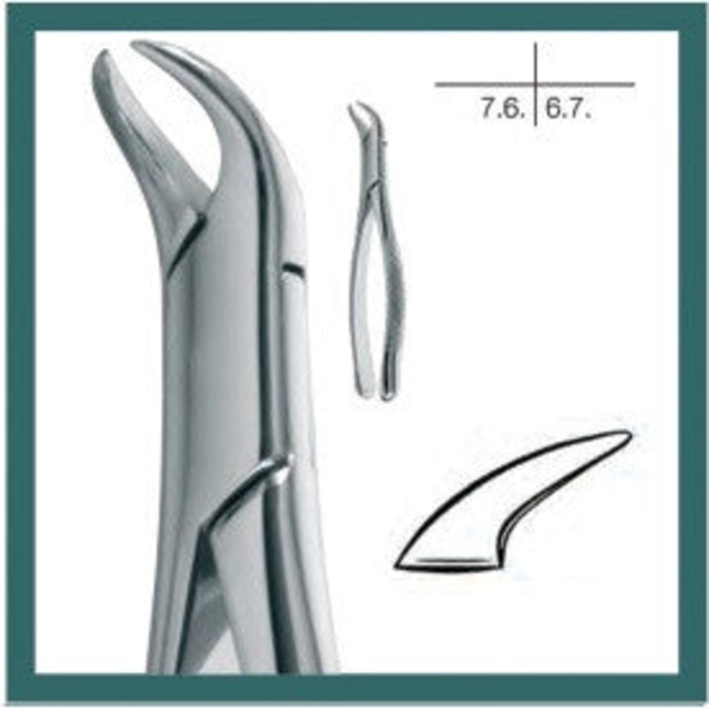 Cow Horn, Extraction Forceps, Lower Molars (14.023.00)
