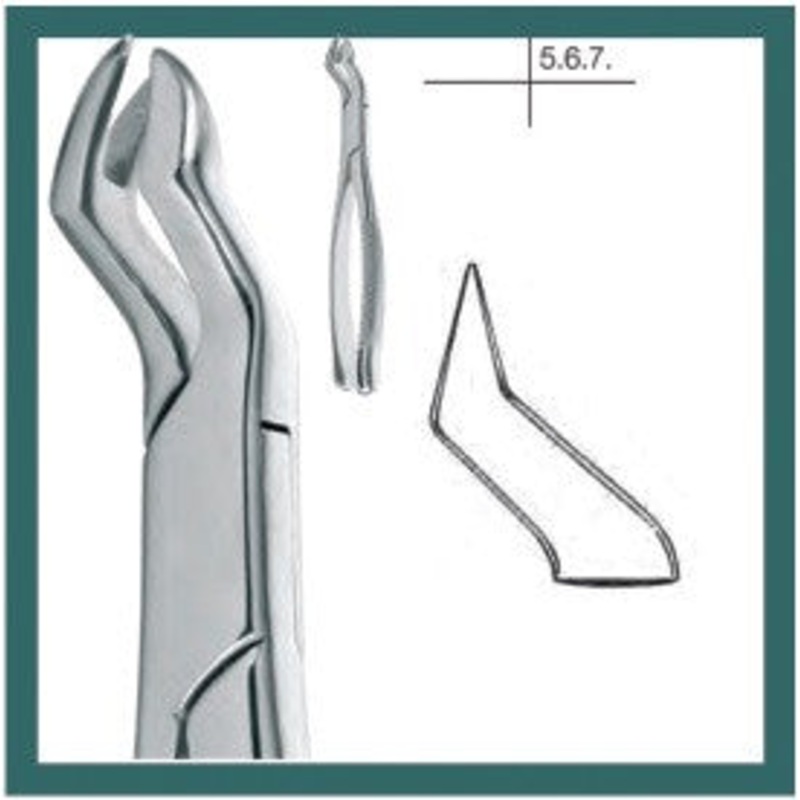 Cowhorn Extraction Forceps, Upper Molars Right Side (14.088.15)