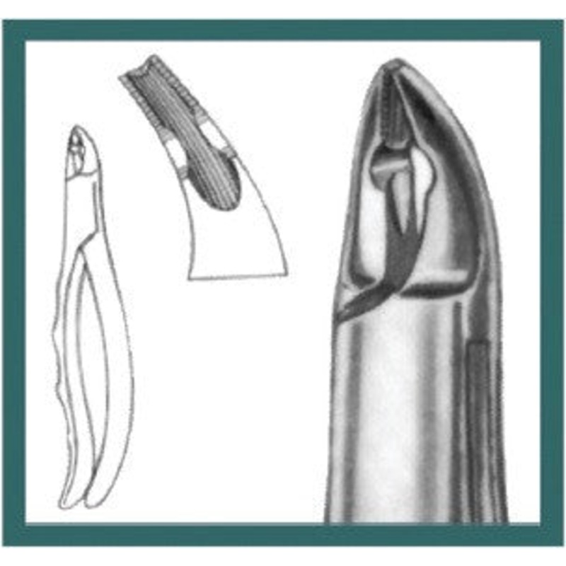 Extraction Forceps, Deciduous Teeth (101 ASP)