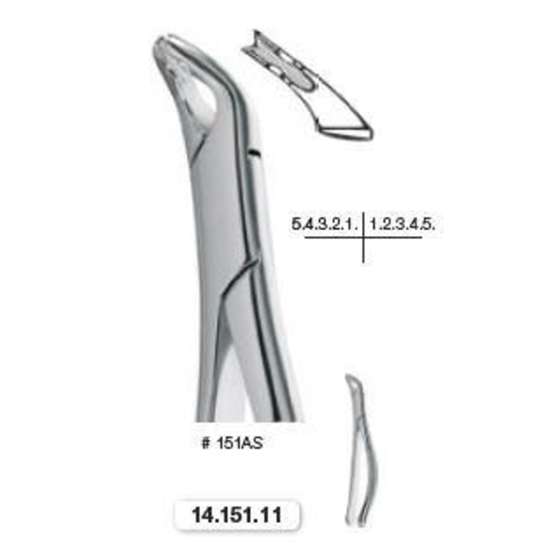 Extraction Forceps Pediatric, Lower, Universal (14.151.11)