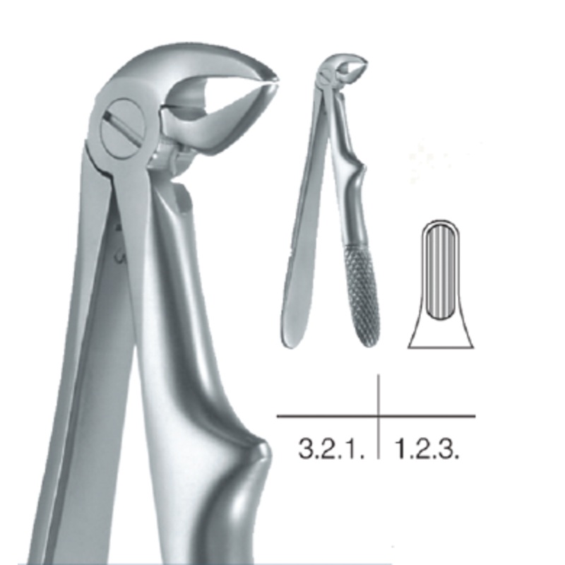 Childrens Forceps, Lower Incisors and Canines (10.681.33)