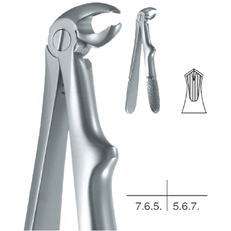 Childrens Forceps, Lower Molars (10.681.22)