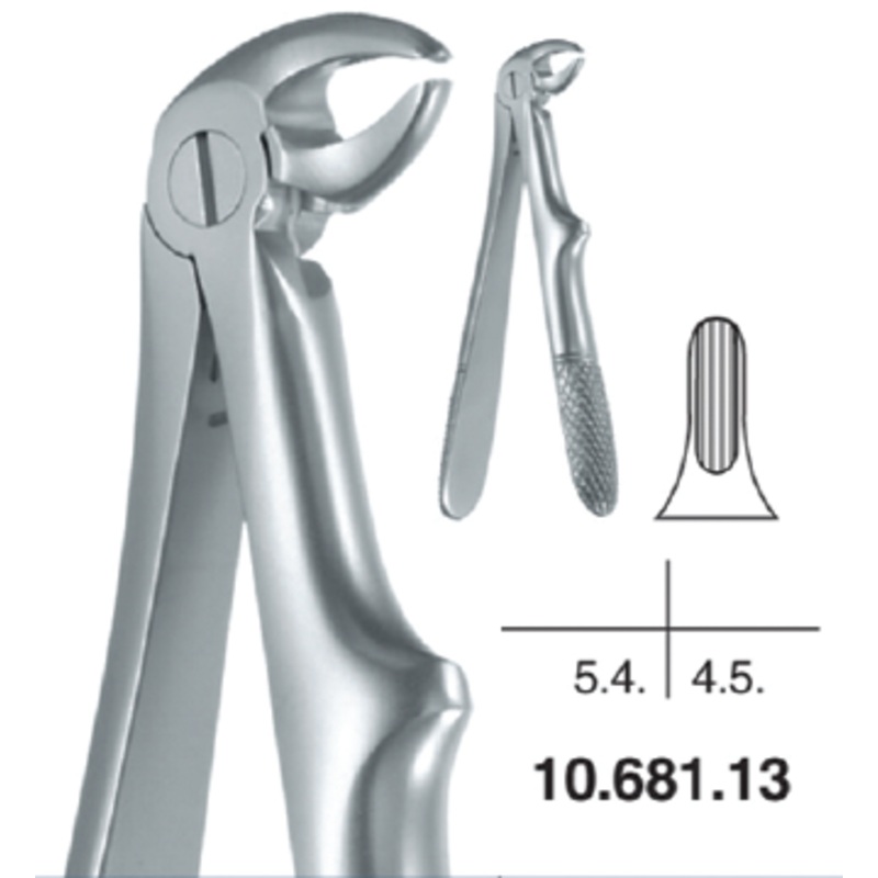 Childrens Forceps, Lower Roots (10.681.13)