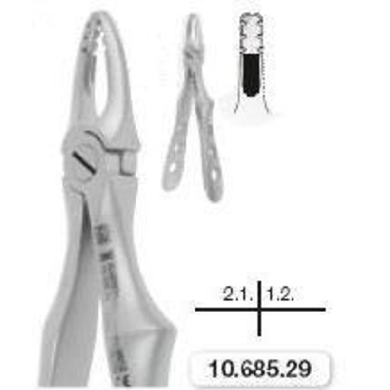 Childrens Forceps, Roba Edition, Upper Incisors and Canine (10.685.29)