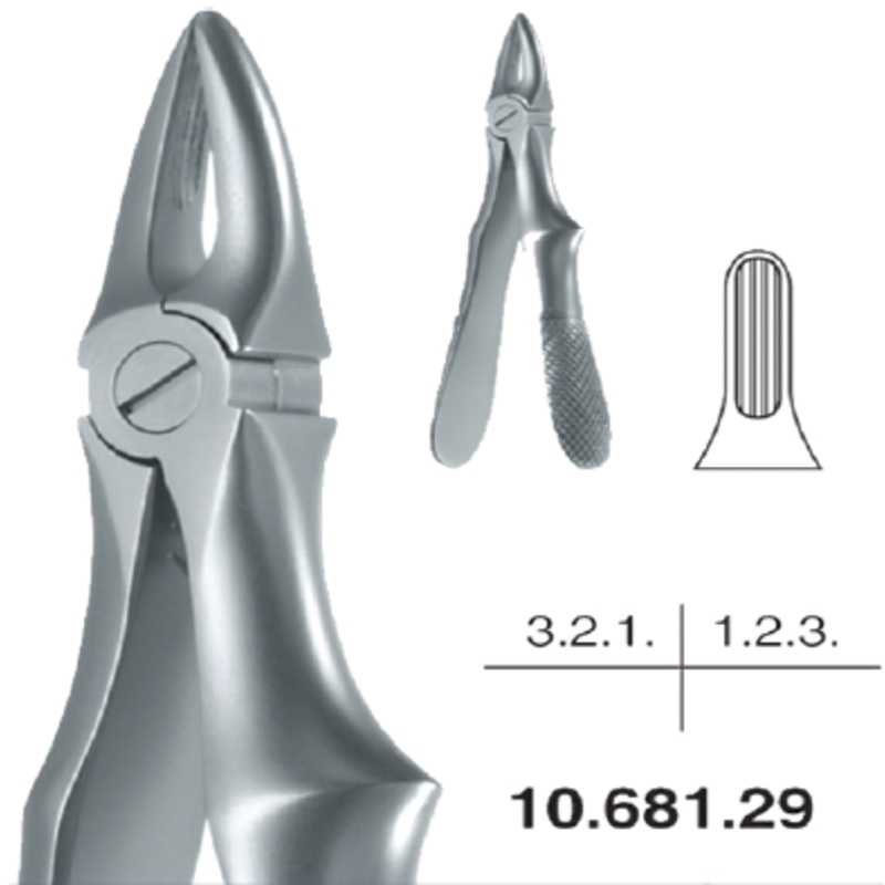 Childrens Forceps, Upper Incisors and Canine (10.681.29)