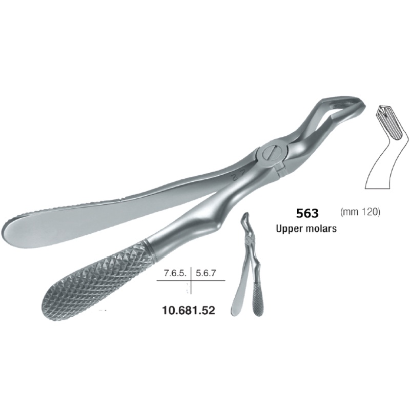 Childrens Forceps, Upper Molars (10.681.52)
