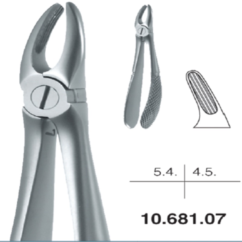 Childrens Forceps, Upper Premolars (10.681.07)