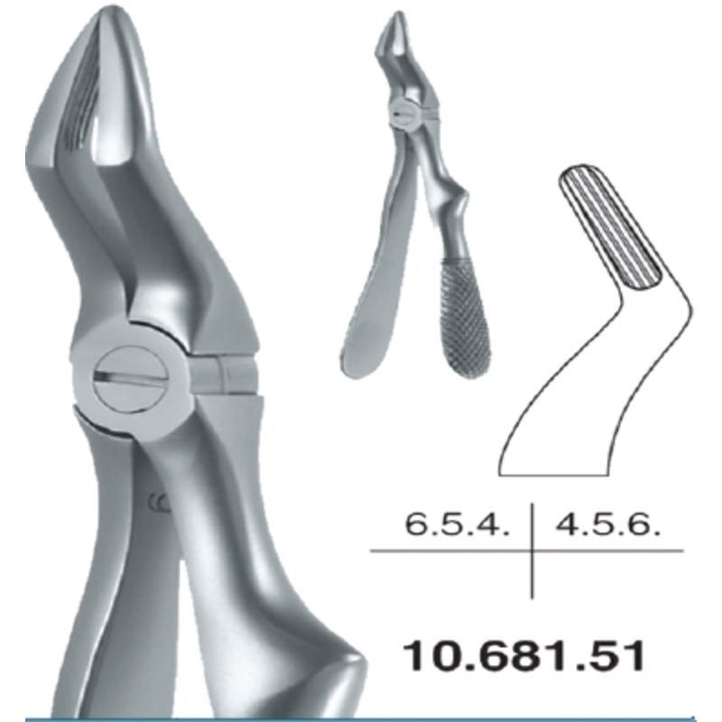 Childrens Forceps, Upper Roots (10.681.51)