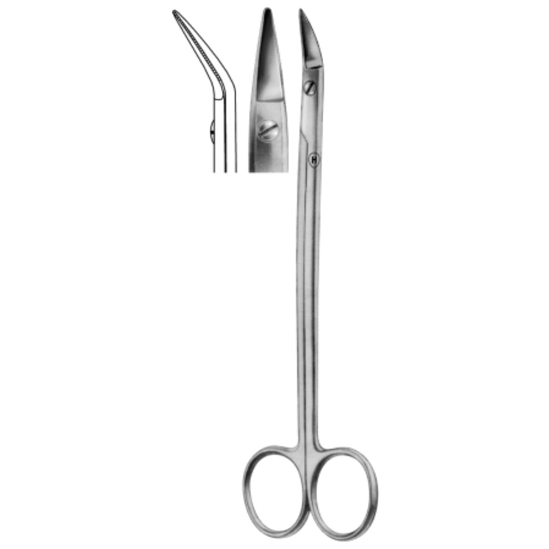 Dean, Gum Scissors, Curved, Toothed (HSB 041-17)