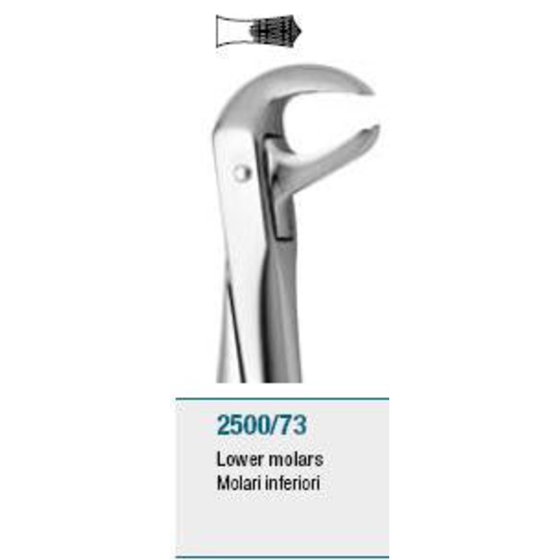 Extraction Forceps, Lower Molars (2500/73)