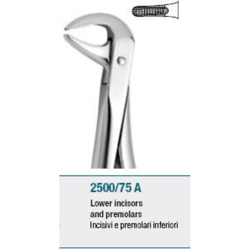 Extraction Forceps, Lower Premolars and Incisors (2500/75 A)