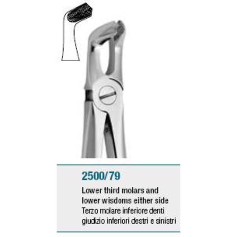 Extraction Forceps, Lower Thirds Molars and Wisdom Teeth, Universal (2500/79)