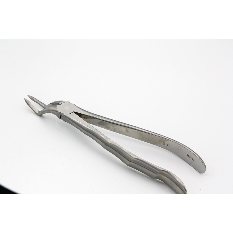 Forceps (10Z1524)