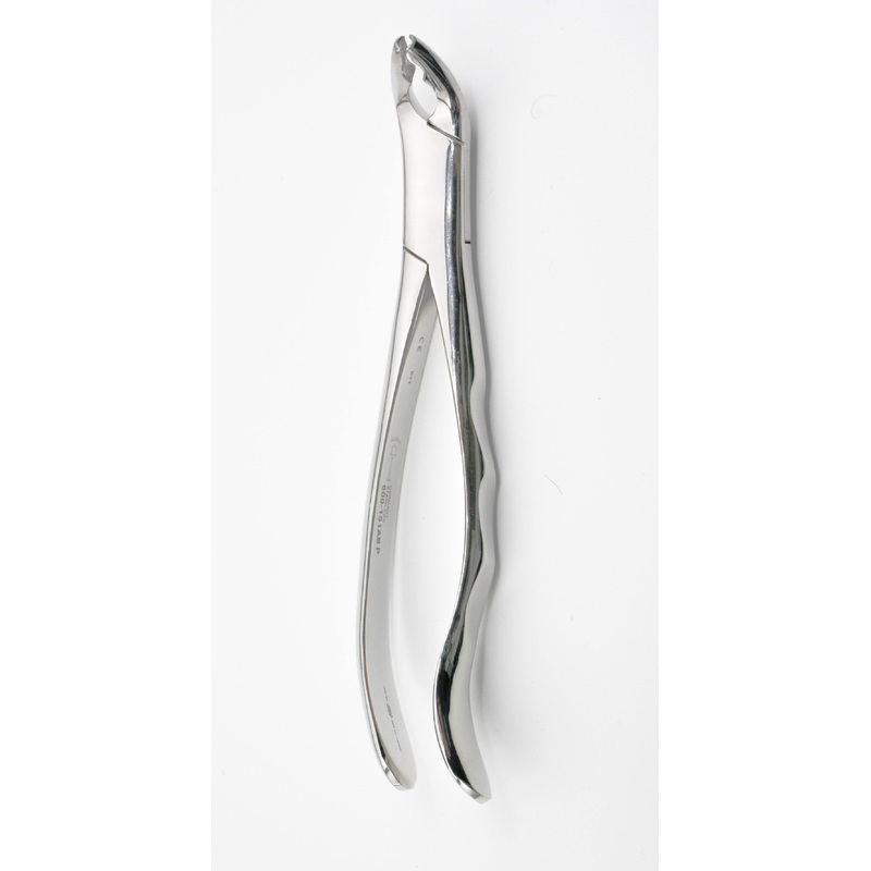 Forceps (600-151 AB P)