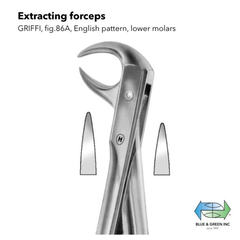 Cowhorn Extracting forceps (HSA 161-86)