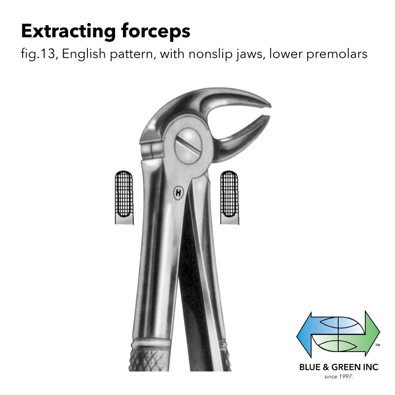 Extracting forceps (HSA 111-13)