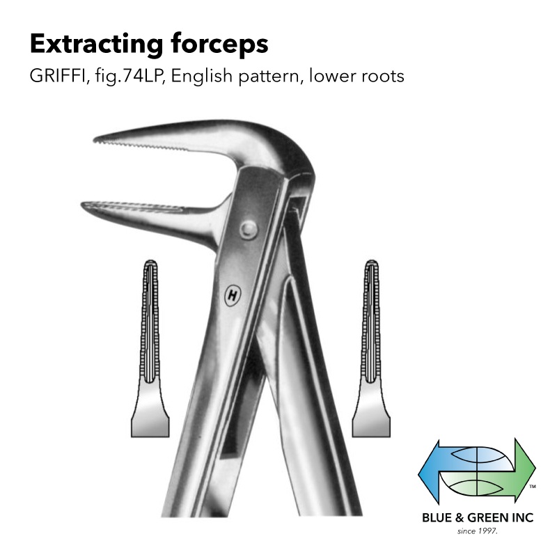 Griffi Extracting Forceps (Z HSA 157-74)