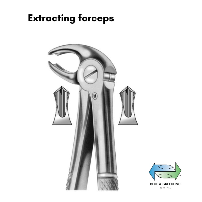 Lower Molar forceps , English pattern (HSA 056-22)