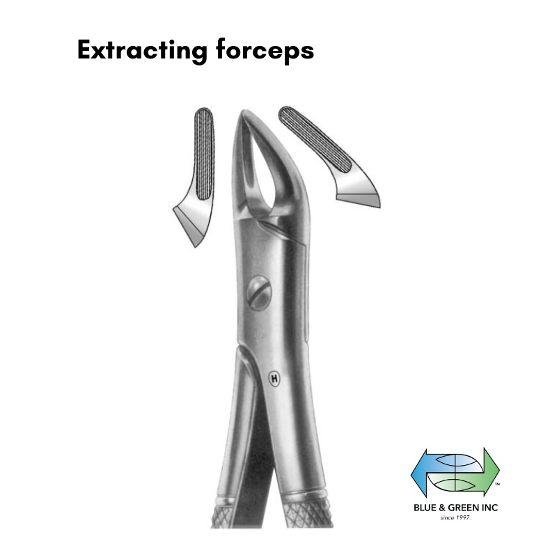 Universal forceps, English Pattern, upper roots, premolars (HSA 024-76)