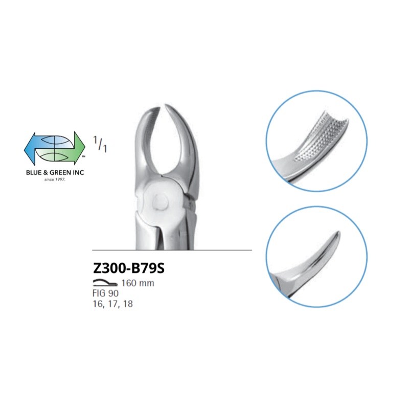 English Pattern Forceps Z300-B79S