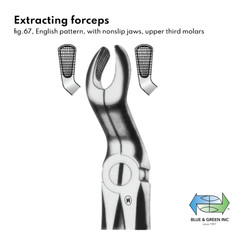 Extracting forceps (HSA 107-67)