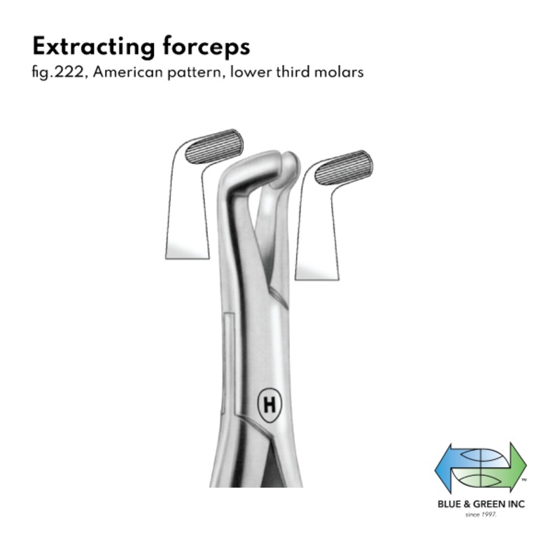 Extracting forceps (HSA 405-22)