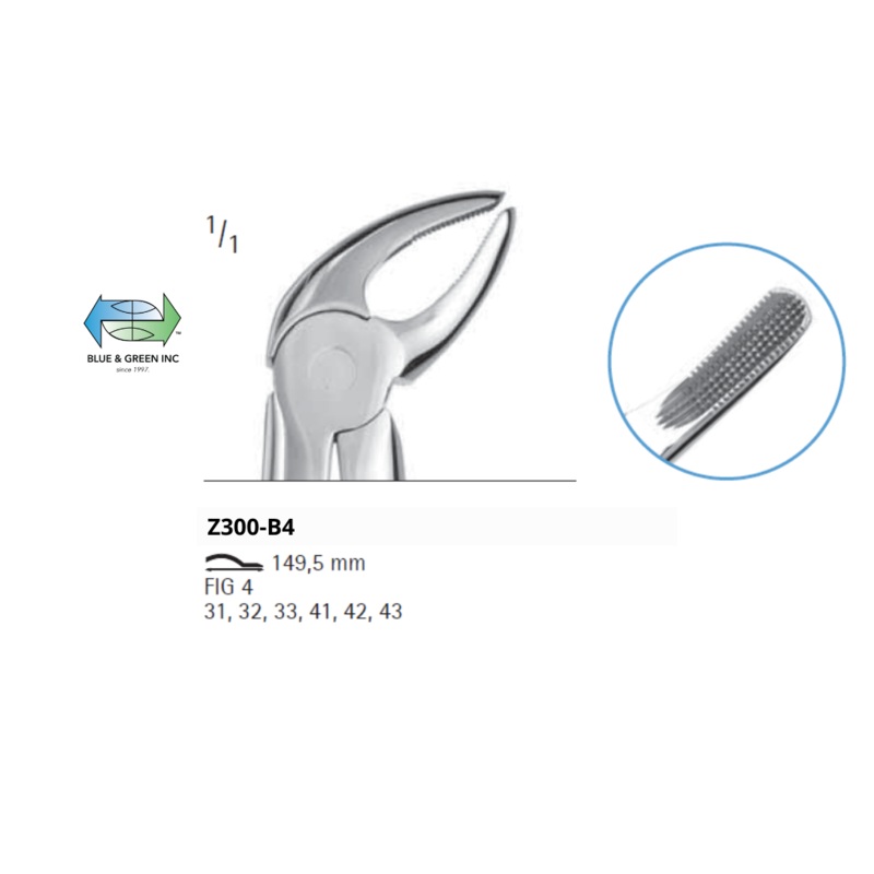 Lower anterior Forceps Z300-B4