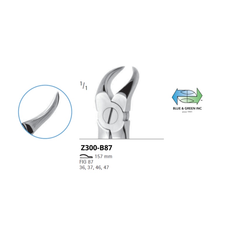 Lower Cowhorn Z300-B87