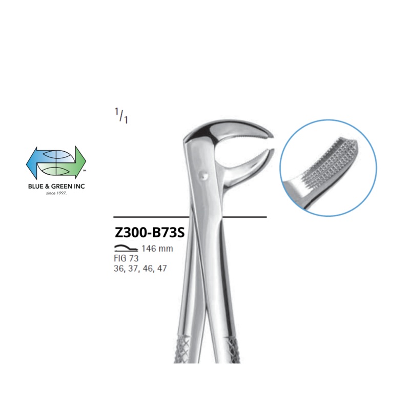 Lower Molar Forceps ( Z300-B73S )