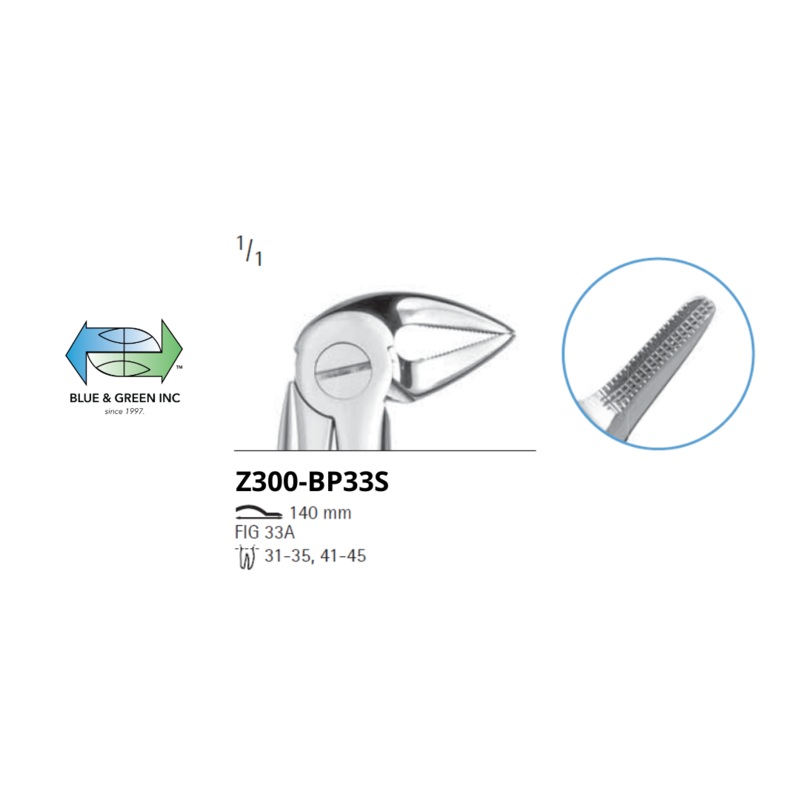 Lower Root and premolar Z300-B33S