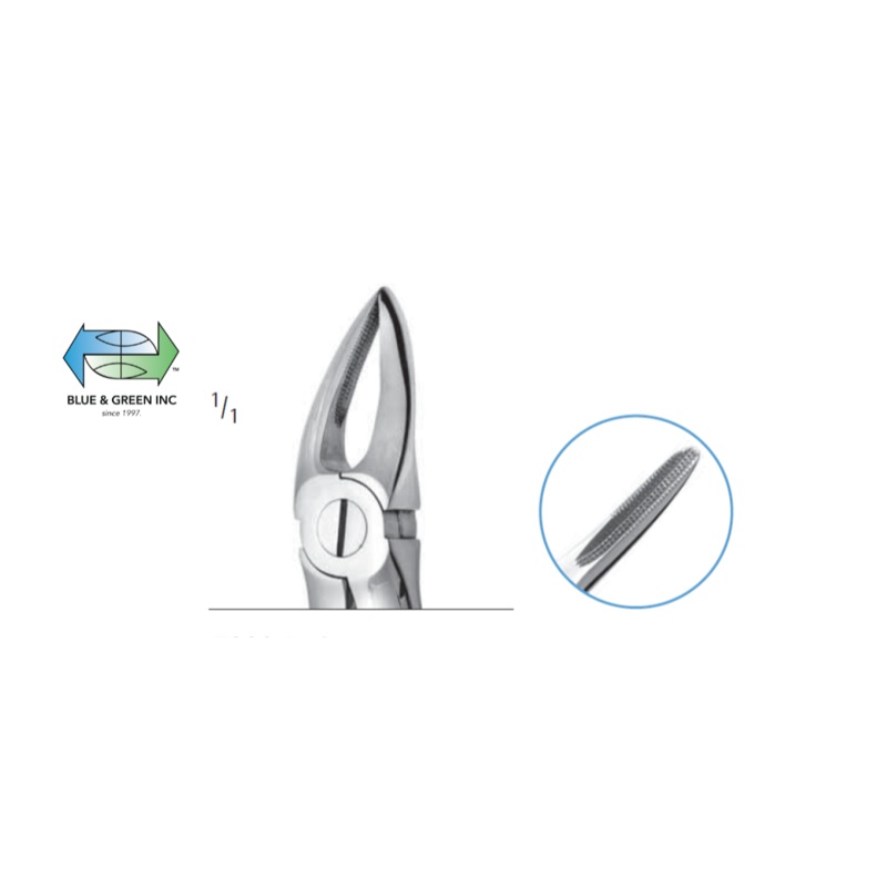 Upper Anterior Root and Premolar Forceps Z300-B95