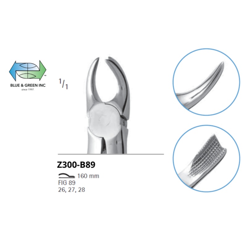 Upper cowhorn English Pattern Z300-B89