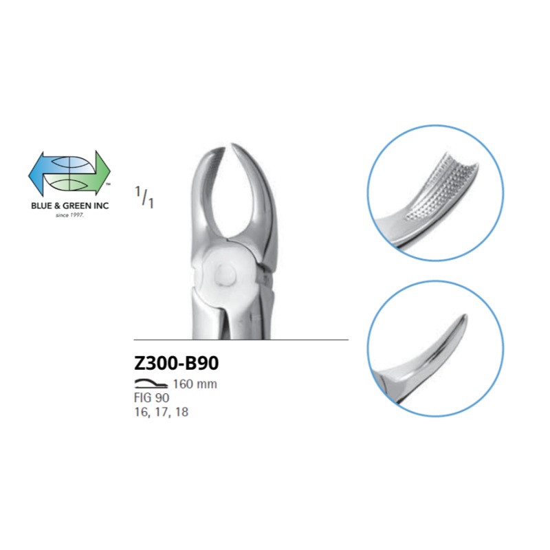 Upper Cowhorn English Pattern Z300-B90