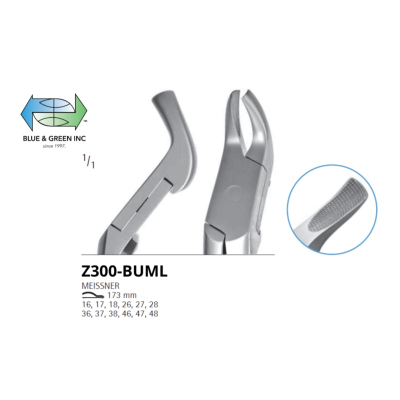 Upper molar and Premolar Forceps Z300-BUML