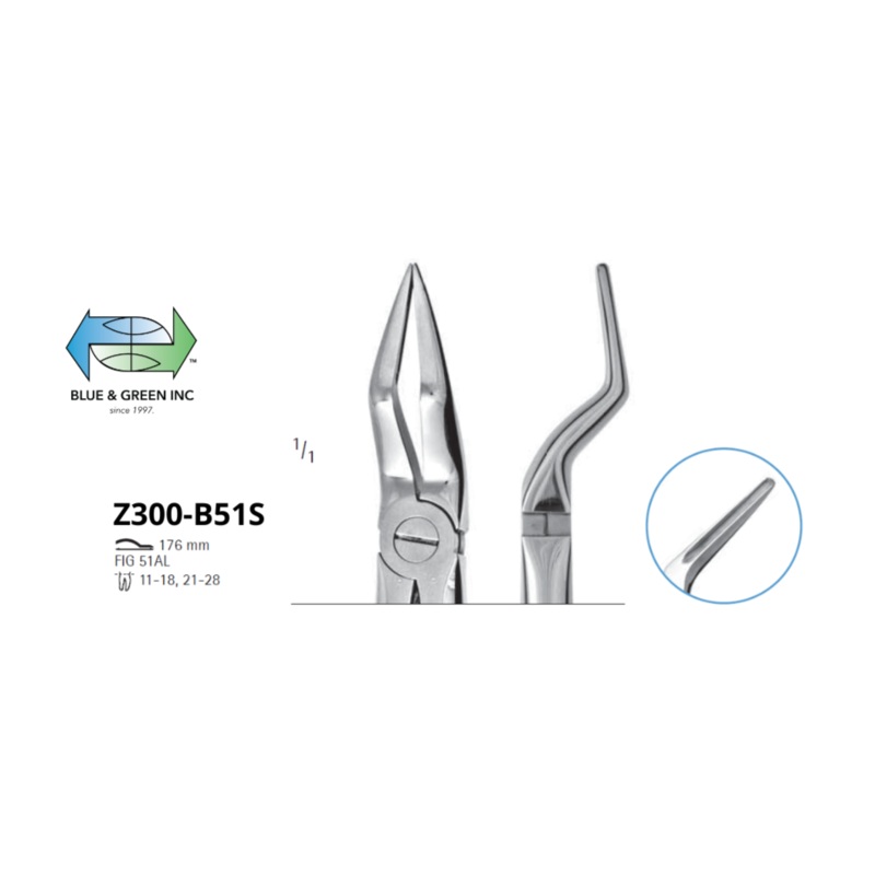 Upper Roots Forceps Z300-B51S