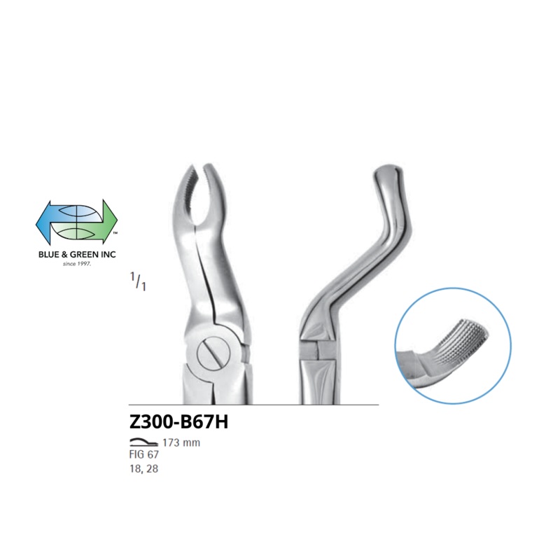 Upper Third Molar Forceps Z300-B67H