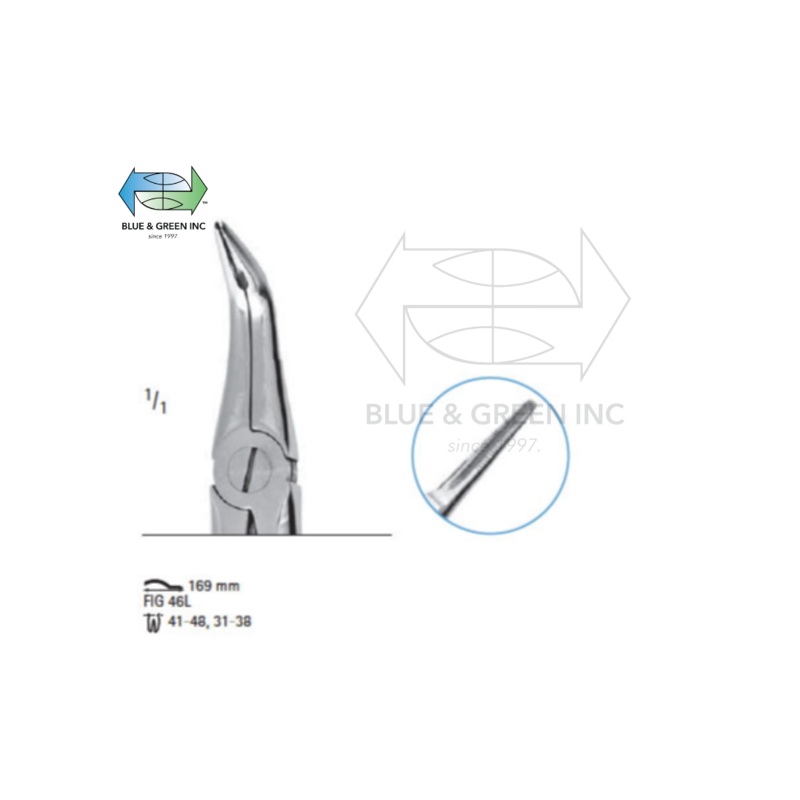 Extracting forceps # fig.46L (Z300-B46S)