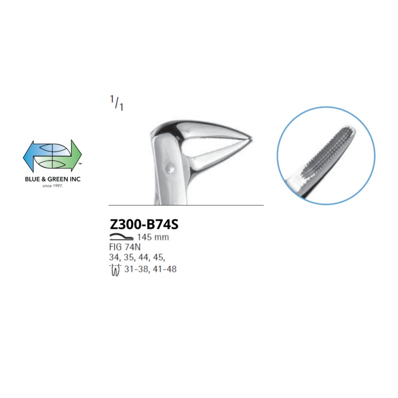 Extracting Forceps (HSA 577-74)
