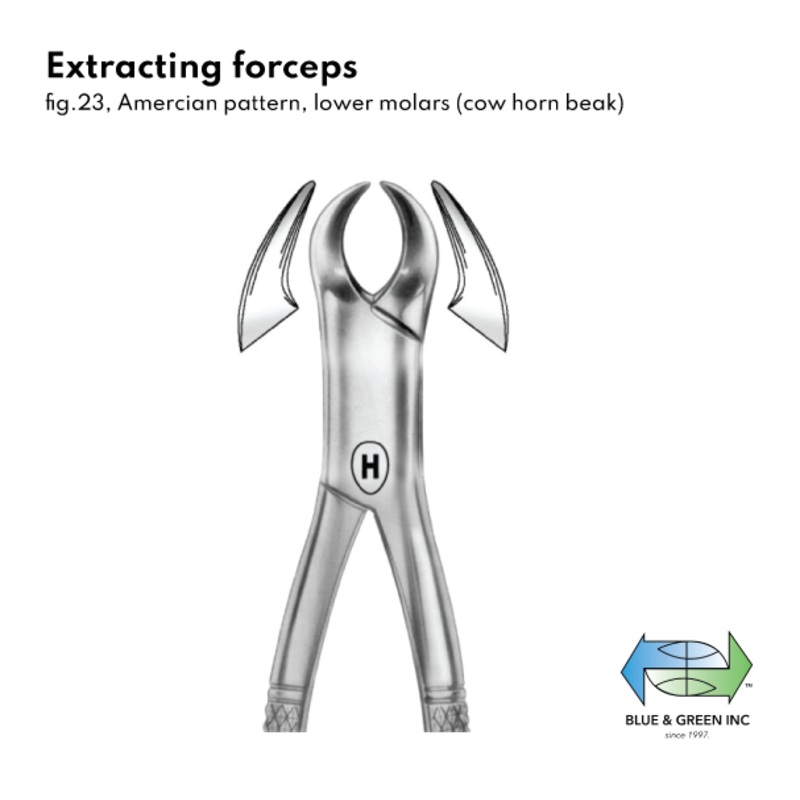 Extracting forceps (HSA 401-23)
