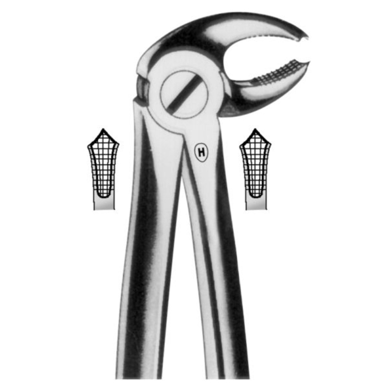 Extracting forceps (HSA 113-22)