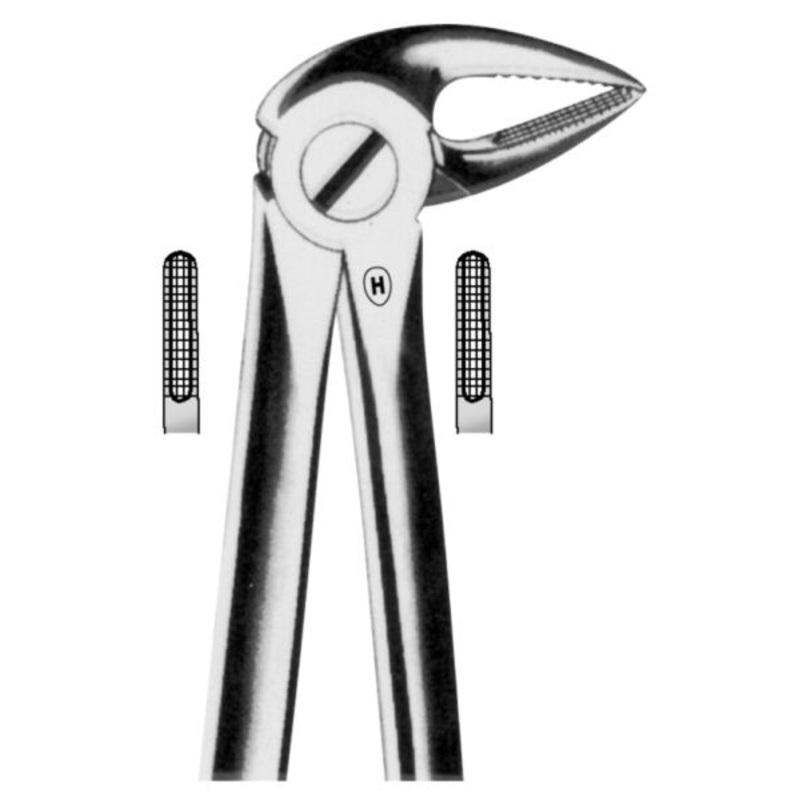 Extracting forceps (HSA 115-33)
