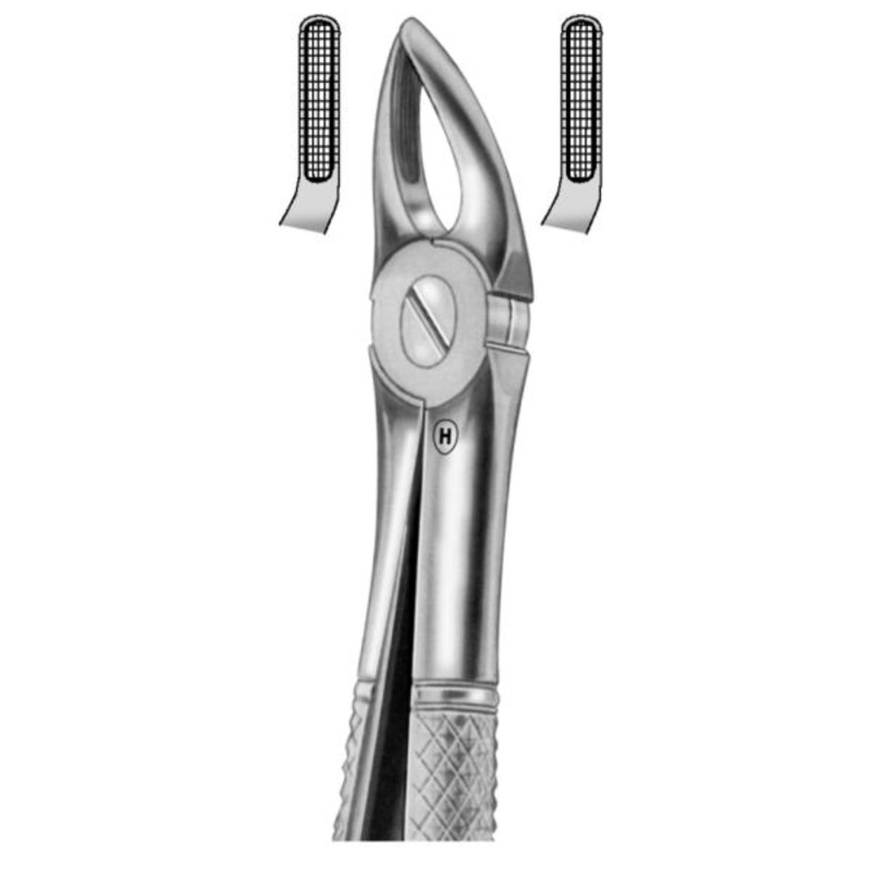 Extracting forceps (HSA 556-30)