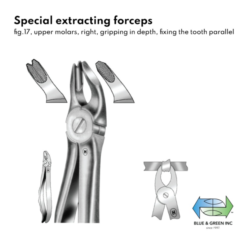 Special extracting forceps, Upper molars, right (HSA 234-17)